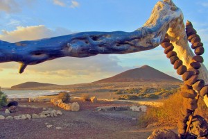 el medano tenerife