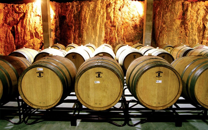 Barriles de vino en la bodega