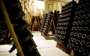 Botellas de vino en la bodega