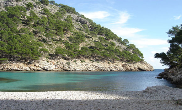 cala-murta