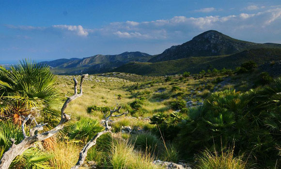 parque natural de la península de Llevant